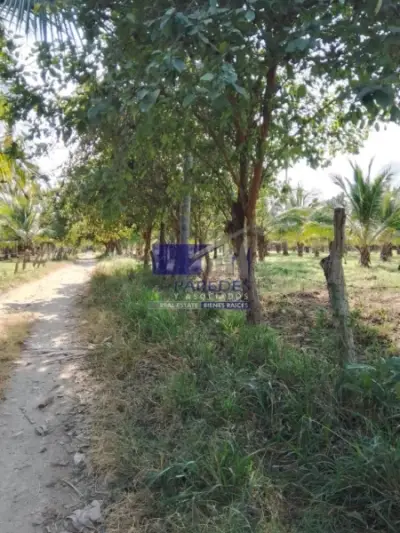 Terreno en venta en Zihuatanejo de Azueta - foto 3