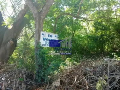 Terreno en venta en Zihuatanejo de Azueta - foto 4