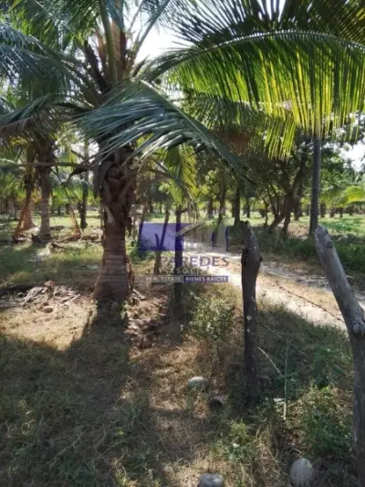 Terreno en venta en Zihuatanejo de Azueta - foto 2