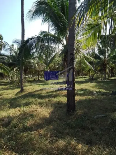 Terreno en venta en Zihuatanejo de Azueta - foto 5