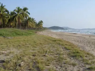 Terreno en venta en Zihuatanejo de Azueta - foto 4