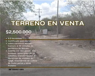 Terreno en venta en Mérida