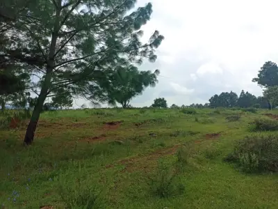 Terreno en venta en Jilotepec de Abasolo - foto 5