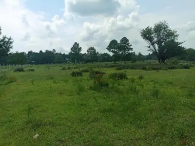 Terreno en venta en Jilotepec de Abasolo - foto 2