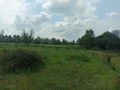 Terreno en venta en Jilotepec de Abasolo - foto 4
