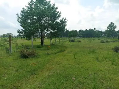 Terreno en venta en Jilotepec de Abasolo - foto 3