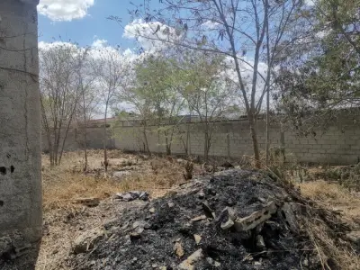 Terreno en venta en Mérida - foto 2