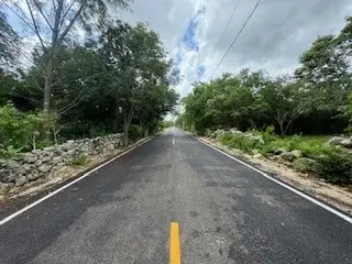 Terreno en venta en Mérida - foto 4