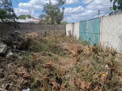 Terreno en venta en Mérida - foto 3