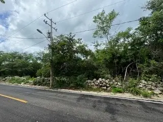 Terreno en venta en Mérida - foto 2