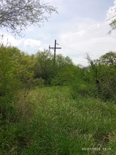 Terreno en venta en Sabinas Hidalgo - foto 4