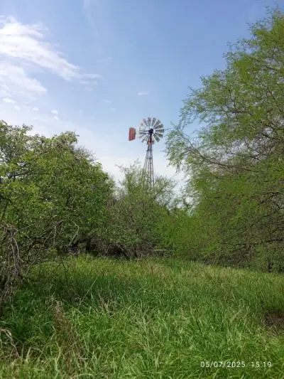 Terreno en venta en Sabinas Hidalgo - foto 3