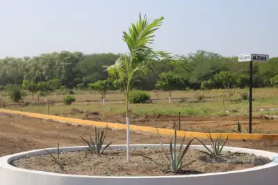 Terreno en venta en Santo Domingo Tehuantepec - foto 4