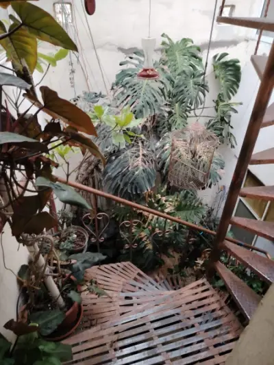 Casa en venta en Nezahualcóyotl - foto 5