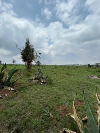 Terreno en venta en Jilotepec de Abasolo - foto 5