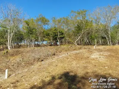 Terreno en venta en San Pedro Pochutla - foto 4