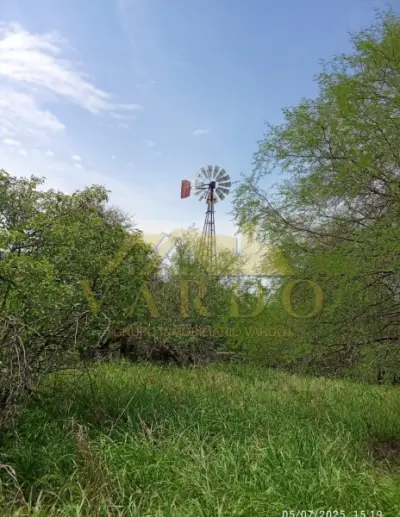 Rancho en venta en Sabinas Hidalgo - foto 3