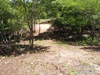 Terreno en venta en San Pedro Pochutla - foto 3