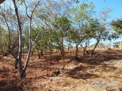Terreno en venta en San Pedro Pochutla - foto 5