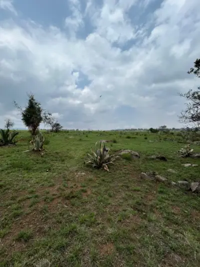 Terreno en venta en Jilotepec de Abasolo - foto 4