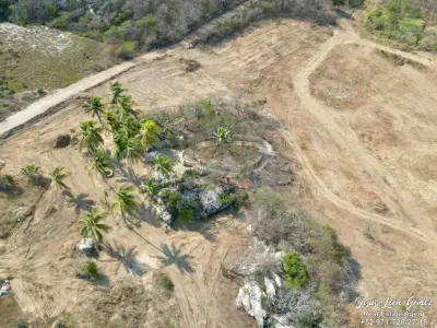 Terreno en venta en San Pedro Pochutla - foto 4