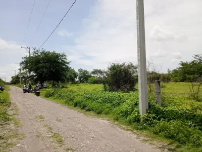 Terreno en venta en Xoxocotla - foto 3