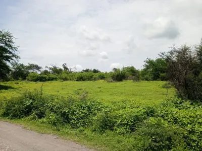 Terreno en venta en Xoxocotla - foto 5