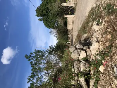 Terreno en venta en Mérida - foto 3