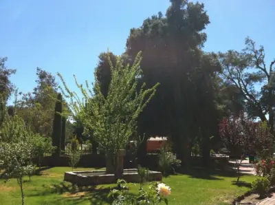 Terreno en venta en Tecate - foto 5