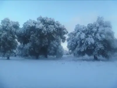 Terreno en venta en Tecate - foto 4