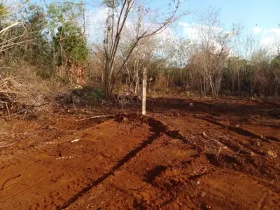 Terreno en venta en Mérida - foto 4
