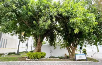 Casa en renta en San Andrés Cholula - foto 5