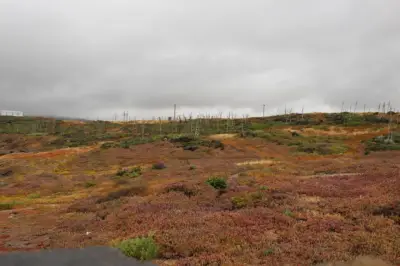 Terreno en venta en Ensenada - foto 5
