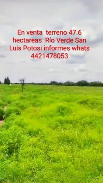 VENTA DE TERRENO AGRICOLA  47.6 HECTAREAS RIO VERDE,SLP. MX