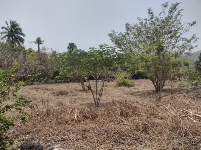 TERRENO EJIDO, EXCELENTE UBICACION EN COETZALA, TLALTETELA.