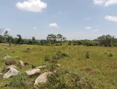 Terreno en venta en Emiliano Zapata - foto 3