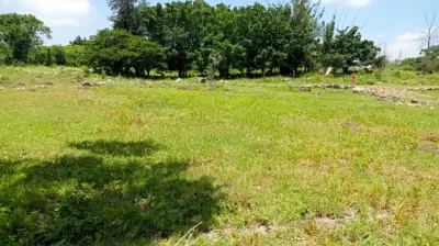 Terreno en venta en Emiliano Zapata - foto 4