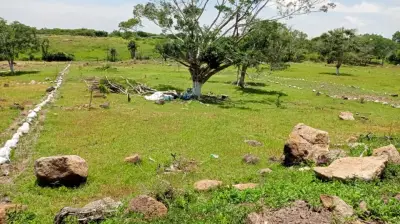 TERRENOS CAMPESTRE EN MIRADORES, EMILIANO ZAPATA, VERACRUZ.