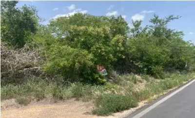 LOTE GRANDE EN VENTA UMAN 
