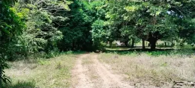 TERRENO CON TODOS LOS SERVICIOS TOTALMENTE PLANO LOC TEJAR