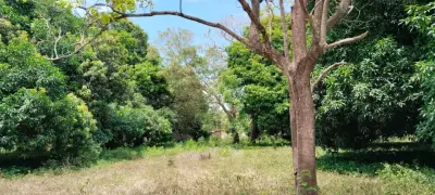 Terreno en venta en Medellín - foto 3