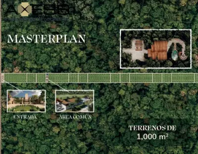 Terreno en venta en Puerto Morelos - foto 2