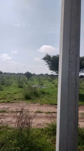 Terreno en venta en Aguascalientes - foto 5