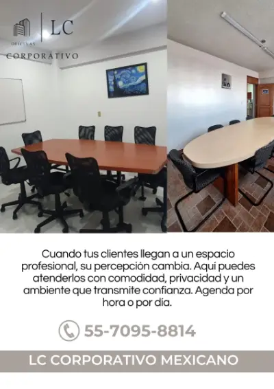 SALAS DE JUNTAS Y OFICINAS PRÁCTICAS
