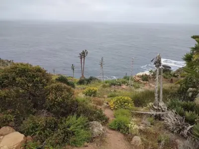 Terreno en venta en Ensenada - foto 2