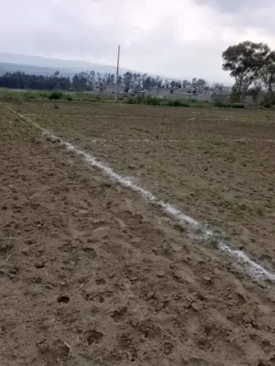 Terreno en venta en Tláhuac - foto 4