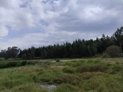 Terreno en venta en Tláhuac - foto 3