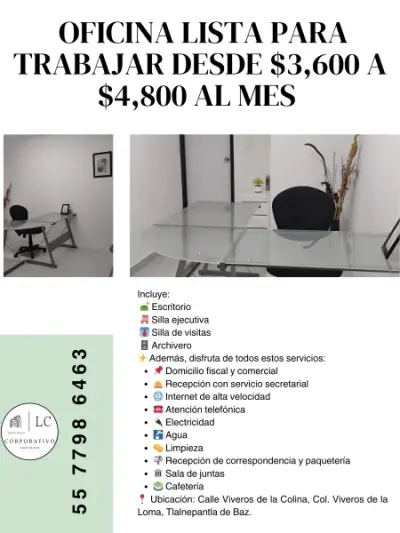 OFICINA EJECUTIVA PARA DAR SERIEDAD A TU NEGOCIO