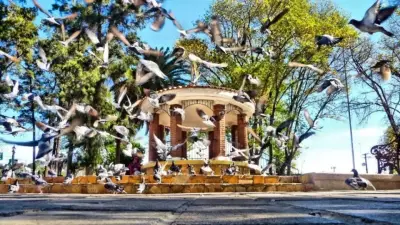 Venta de Rancho Santa Lucía ubicado en Tecate Centro.