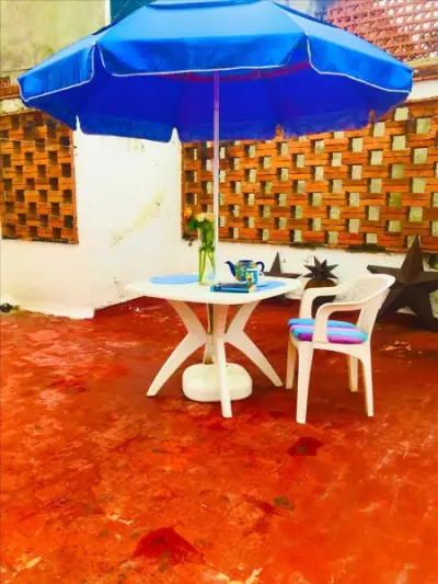 Departamento en renta en Coyoacán - foto 3
